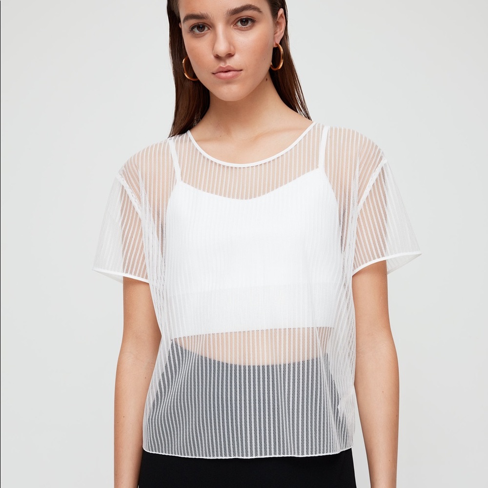 Aritzia Babaton Sheer Pinstripe Top - Brand New With Tags